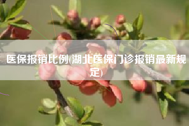 医保报销比例(湖北医保门诊报销最新规定)