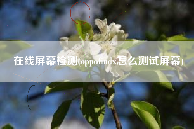 在线屏幕检测(oppofindx怎么测试屏幕)