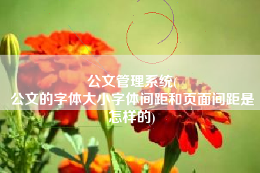 公文管理系统(
公文的字体大小字体间距和页面间距是怎样的) 公文管理系统(
公文的字体大小字体间距和页面间距是怎样的)