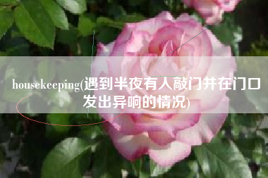 housekeeping(遇到半夜有人敲门并在门口发出异响的情况)
