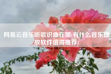 网易云音乐听歌识曲在哪(有什么音乐播放软件值得推荐)