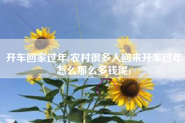 开车回家过年(农村很多人回来开车过年怎么那么多钱呢)