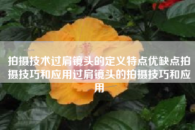 拍摄技术过肩镜头的定义特点优缺点拍摄技巧和应用过肩镜头的拍摄技巧和应用