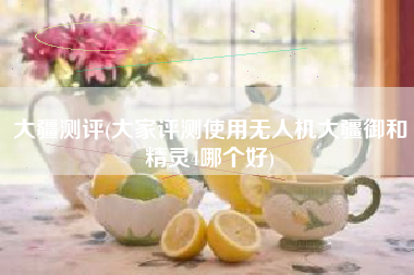 大疆测评(大家评测使用无人机大疆御和精灵4哪个好)