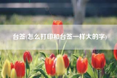 台签(怎么打印和台签一样大的字)