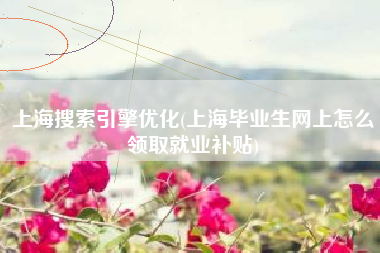 上海搜索引擎优化(上海毕业生网上怎么领取就业补贴)