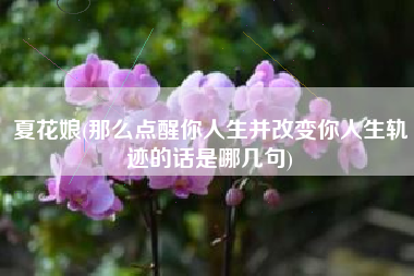 详细阅读:夏花娘(那么点醒你人生并改变你人生轨迹的话是哪几句) 夏花娘(那么点醒你人生并改变你人生轨迹的话是哪几句)