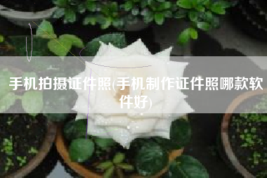 手机拍摄证件照(手机制作证件照哪款软件好)