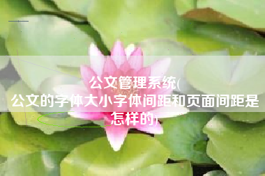 公文管理系统(
公文的字体大小字体间距和页面间距是怎样的) 公文管理系统(
公文的字体大小字体间距和页面间距是怎样的)