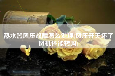 热水器风压故障怎么处理(风压开关坏了风机还能转吗)