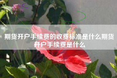 期货开户手续费的收费标准是什么期货开户手续费是什么