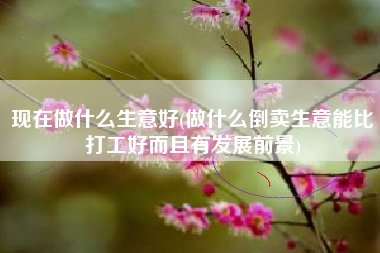 现在做什么生意好(做什么倒卖生意能比打工好而且有发展前景)