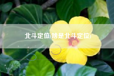 北斗定位(啥是北斗定位)