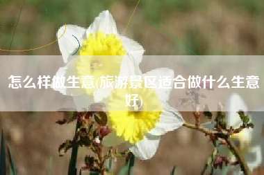 怎么样做生意(旅游景区适合做什么生意好)