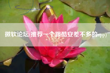 微软论坛(推荐一个跟酷安差不多的app)