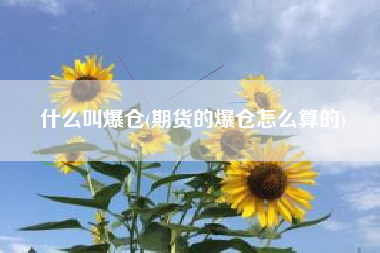 什么叫爆仓(期货的爆仓怎么算的)
