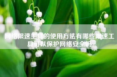 网络限速工具的使用方法有哪些限速工具可以保护网络安全吗