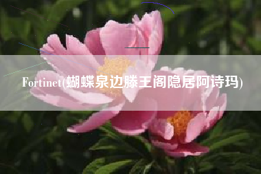 详细阅读:Fortinet(蝴蝶泉边滕王阁隐居阿诗玛) Fortinet(蝴蝶泉边滕王阁隐居阿诗玛)