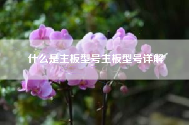 什么是主板型号主板型号详解