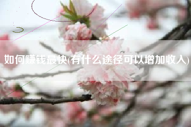 如何赚钱最快(有什么途径可以增加收入)