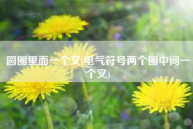 圆圈里面一个叉(电气符号两个圈中间一个叉)