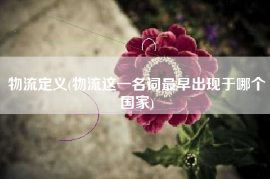 物流定义(物流这一名词最早出现于哪个国家)