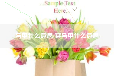 马甲什么意思(穿马甲什么意思)