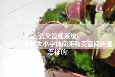 公文管理系统(
公文的字体大小字体间距和页面间距是怎样的) 公文管理系统(
公文的字体大小字体间距和页面间距是怎样的)