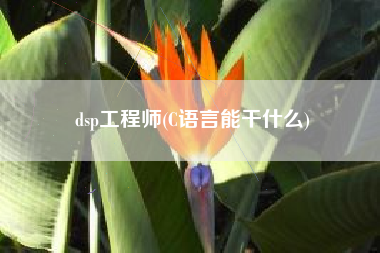 dsp工程师(C语言能干什么)