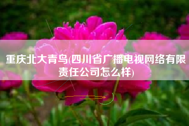 重庆北大青鸟(四川省广播电视网络有限责任公司怎么样)