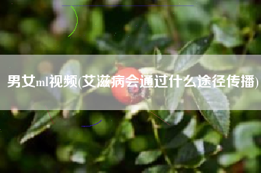 男女ml视频(艾滋病会通过什么途径传播)