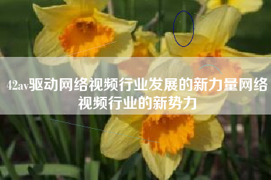 42av驱动网络视频行业发展的新力量网络视频行业的新势力