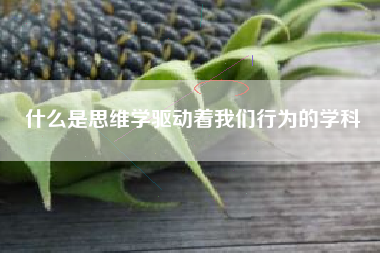 什么是思维学驱动着我们行为的学科