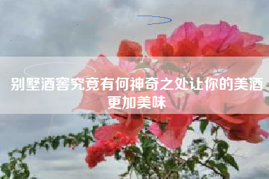 别墅酒窖究竟有何神奇之处让你的美酒更加美味