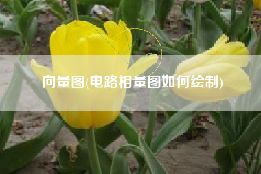 向量图(电路相量图如何绘制)