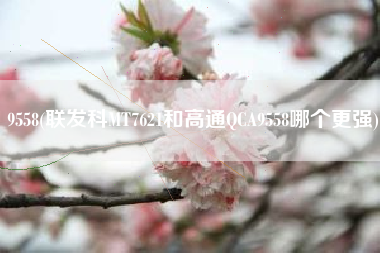 9558(联发科MT7621和高通QCA9558哪个更强)