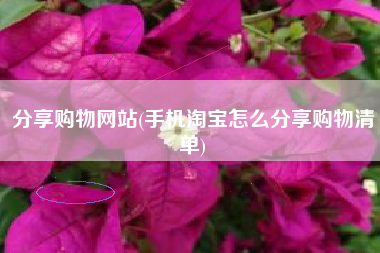 分享购物网站(手机淘宝怎么分享购物清单)