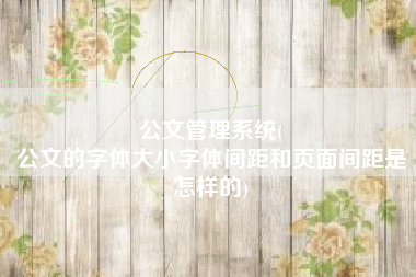 公文管理系统(
公文的字体大小字体间距和页面间距是怎样的) 公文管理系统(
公文的字体大小字体间距和页面间距是怎样的)
