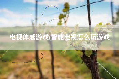 电视体感游戏(智能电视怎么玩游戏)
