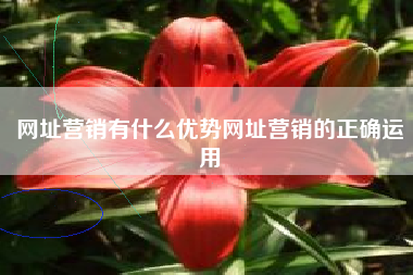 网址营销有什么优势网址营销的正确运用