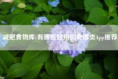 减肥食物库(有哪些好用的食谱类App推荐)