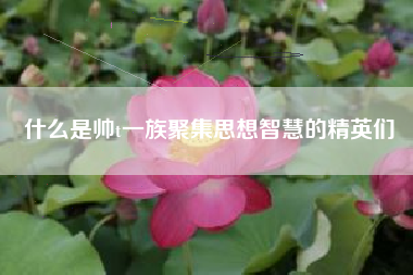 什么是帅t一族聚集思想智慧的精英们