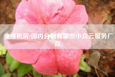 兆维机房(国内分别有哪些小众云服务厂商)