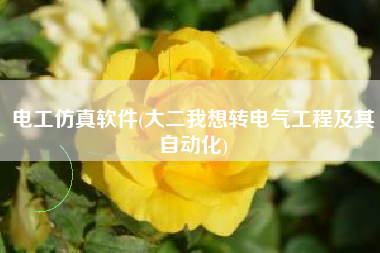 电工仿真软件(大二我想转电气工程及其自动化)