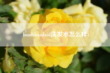 boad(boadaid洗发水怎么样)