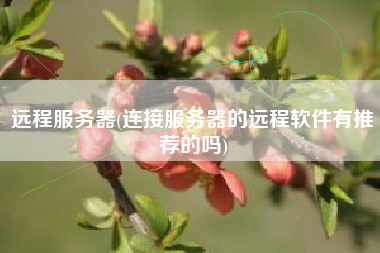 远程服务器(连接服务器的远程软件有推荐的吗)
