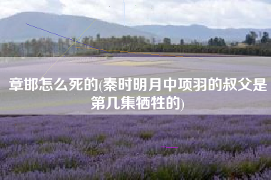 章邯怎么死的(秦时明月中项羽的叔父是第几集牺牲的)