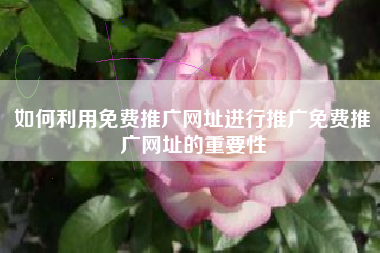 如何利用免费推广网址进行推广免费推广网址的重要性