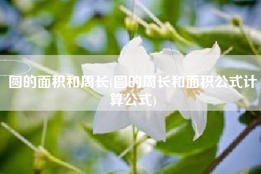 圆的面积和周长(圆的周长和面积公式计算公式)