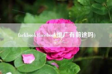 fackbook(facebook推广有前途吗)